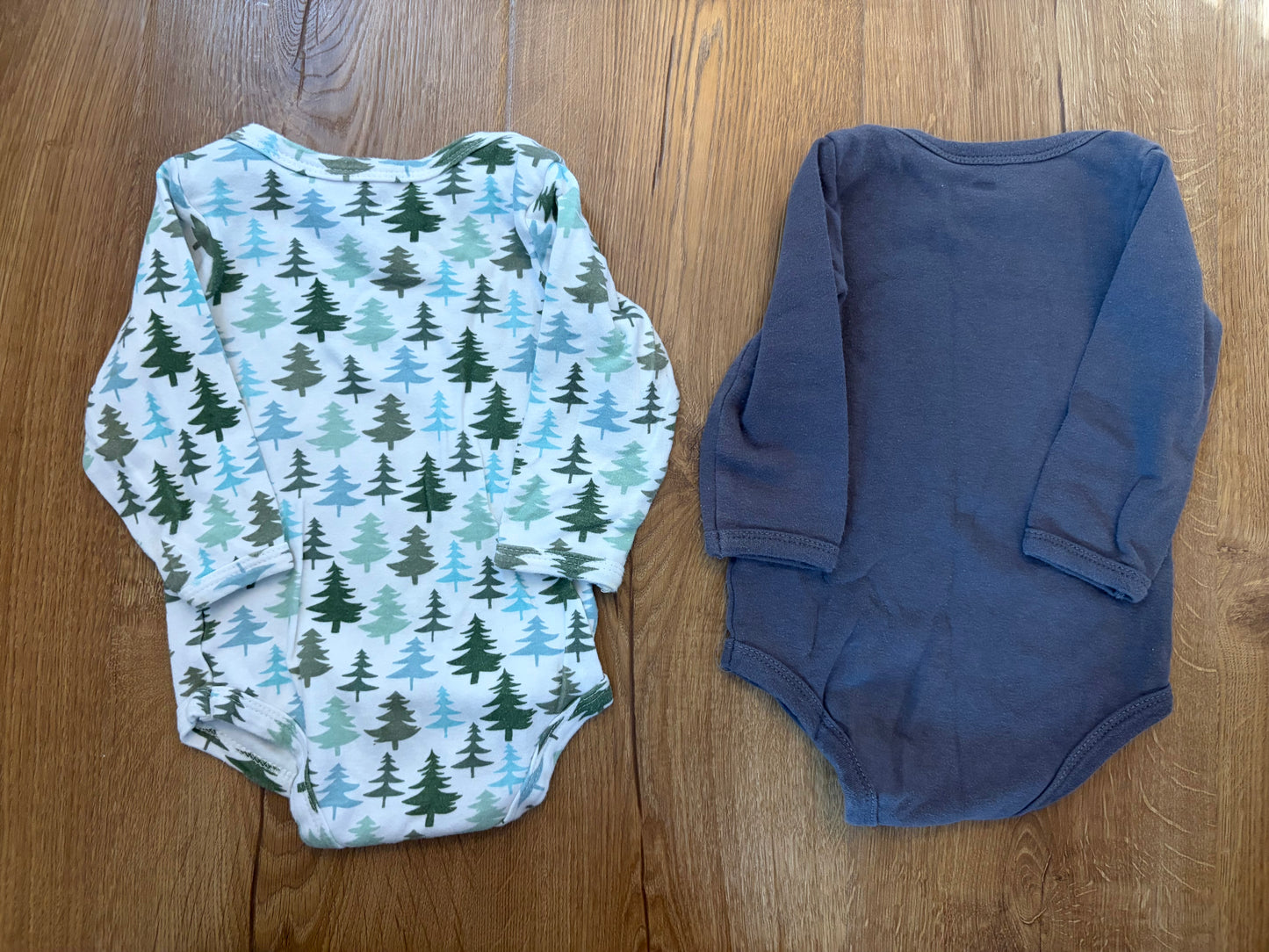 #6 - Hudson Baby Boys Long Sleeved Onesies/Bodysuits - 9-12 months