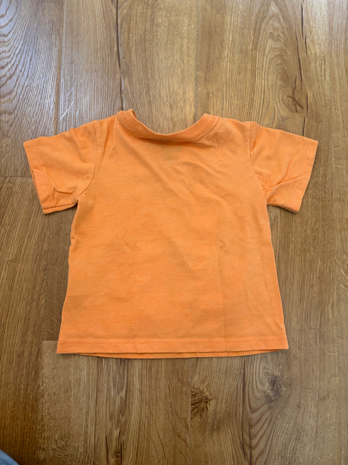 #6 - Bluey Halloween T-Shirt - 18 months