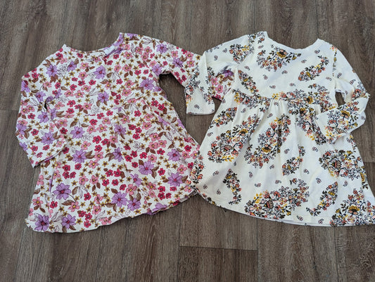 #144 - Girls Dresses Size 24M