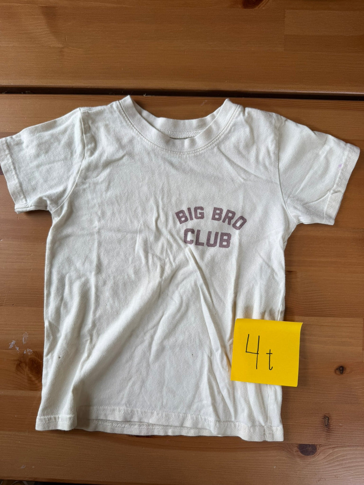 Seller #94 Boys 4t T Shirt Bundle