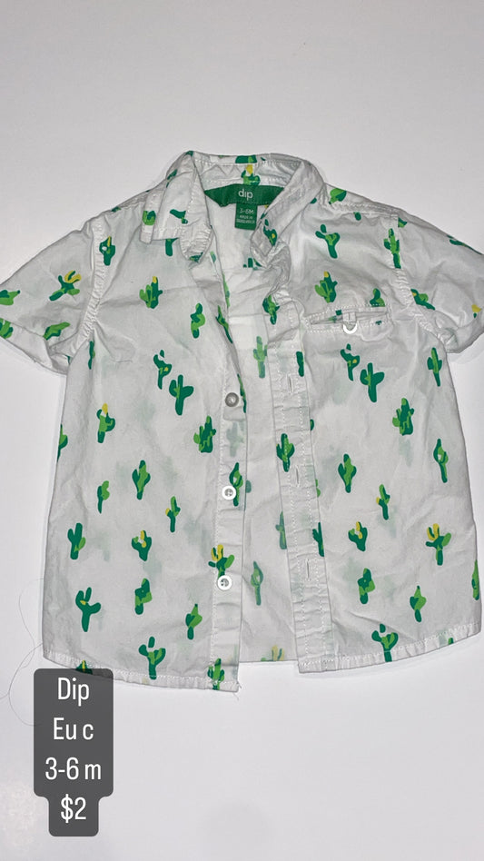 Dip 3-6 mo cactus button up