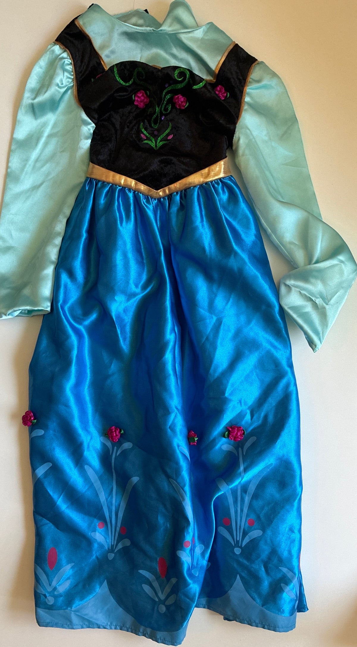 Seller 76 Frozen / Disneyland Paris Costume Size 10