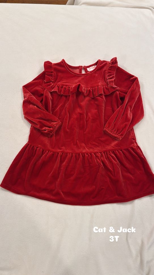 #145 Cat & Jack velvet dress Girls 3T EUC