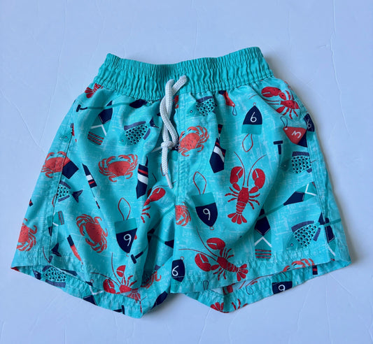 #43 Float Mini Swim Trunks Boys 2T EUC