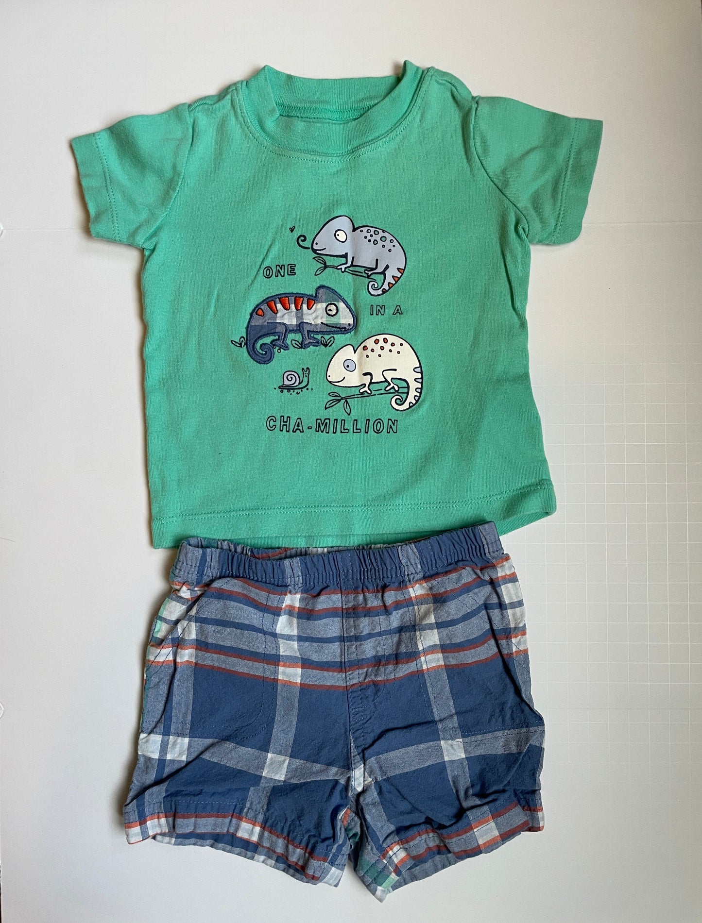 Seller #126 Carter's Boys 12 Month One in a Cameleon Outfit