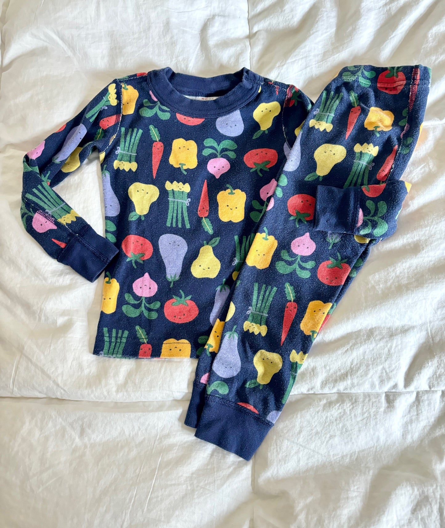 Hanna Andersson Two Piece Jams Girls 3T