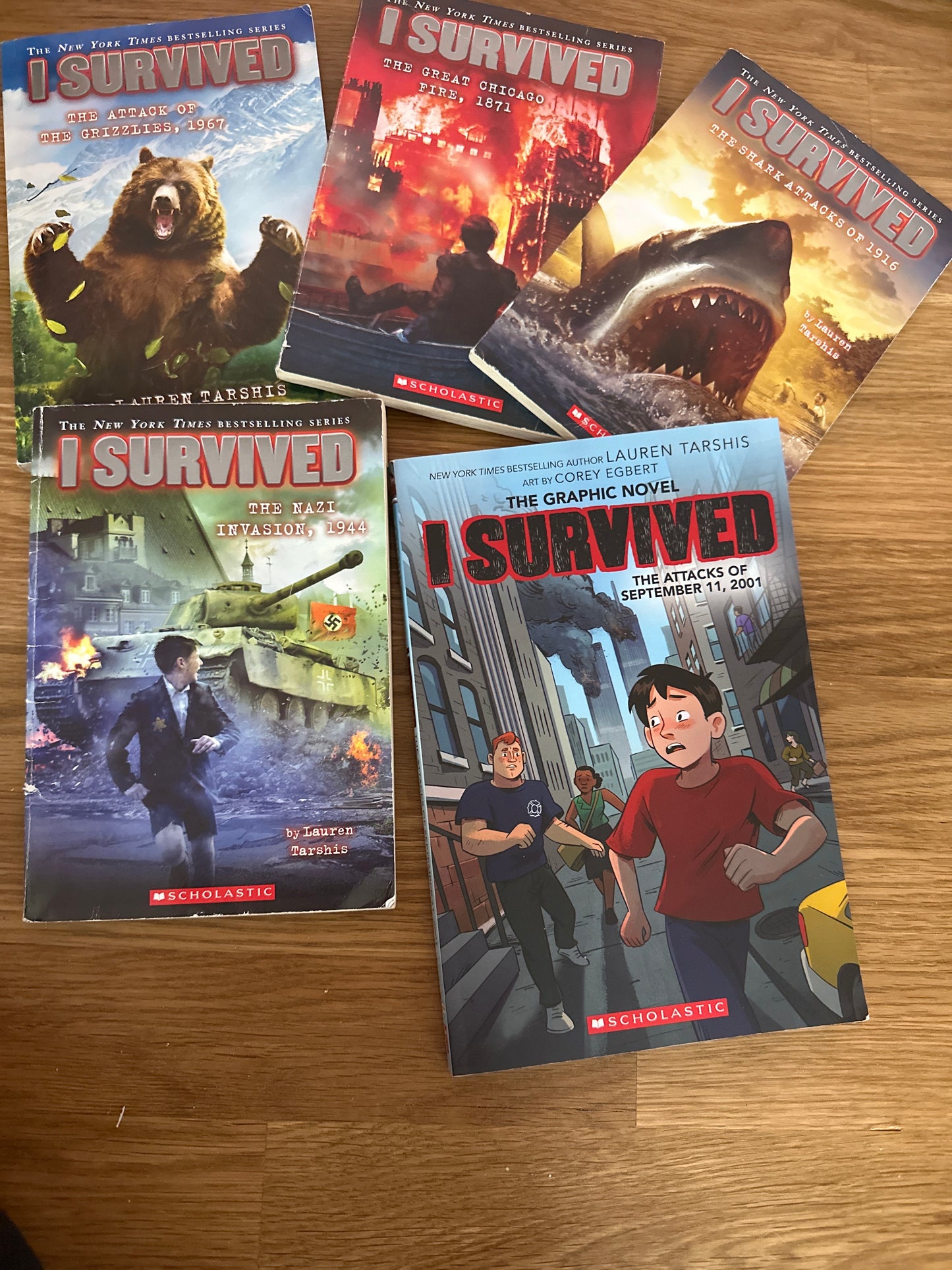133 I Survived Book Bundle