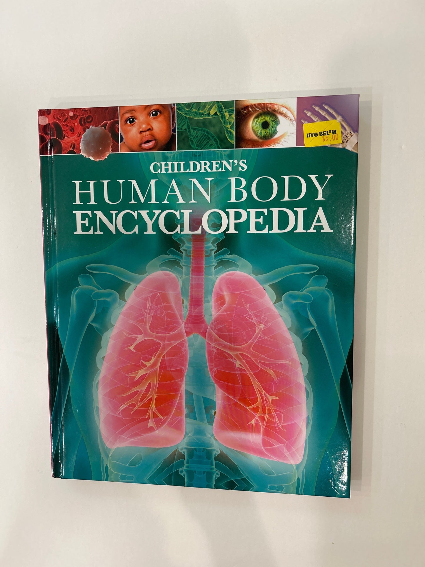 #119-Children’s Human Body Encyclopedia