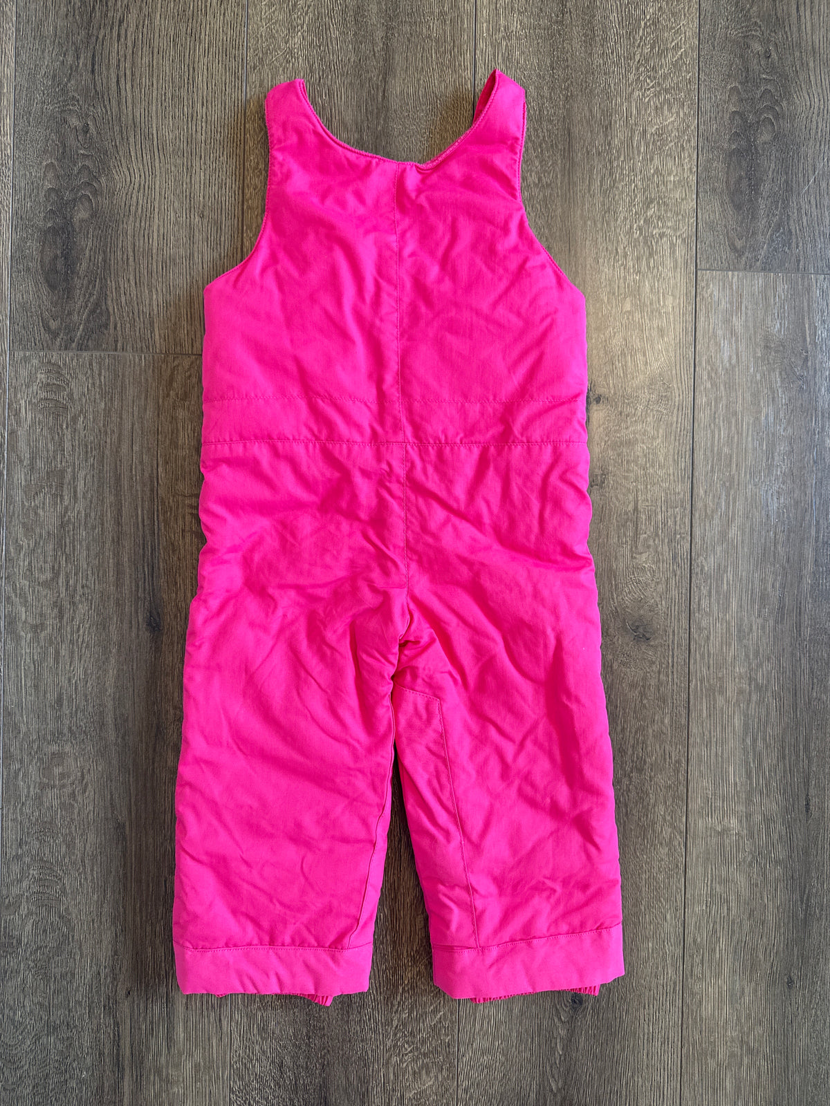 #173 2T girl snow pants