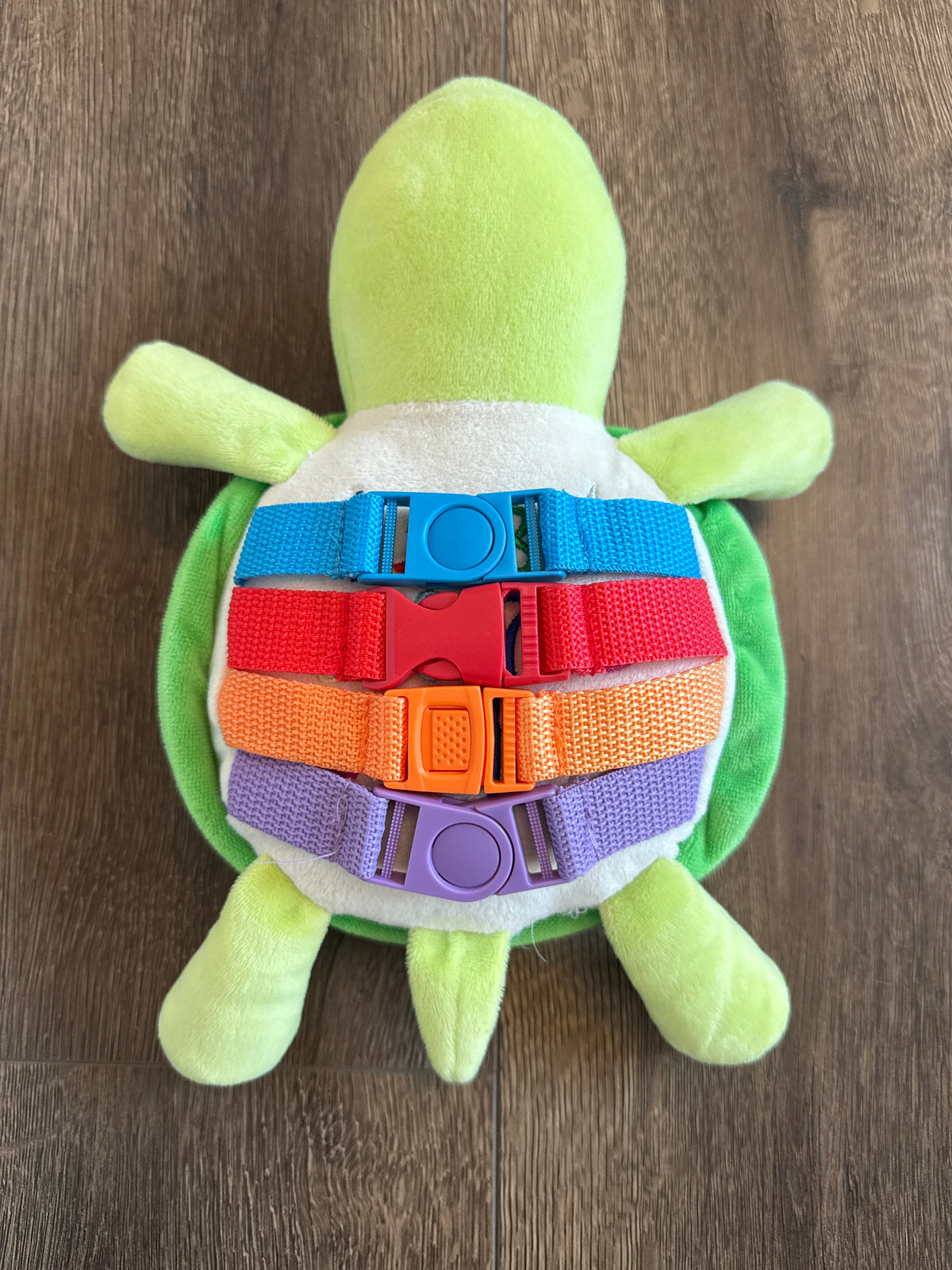 #173 Buckle Toy 'Belle Turtle'