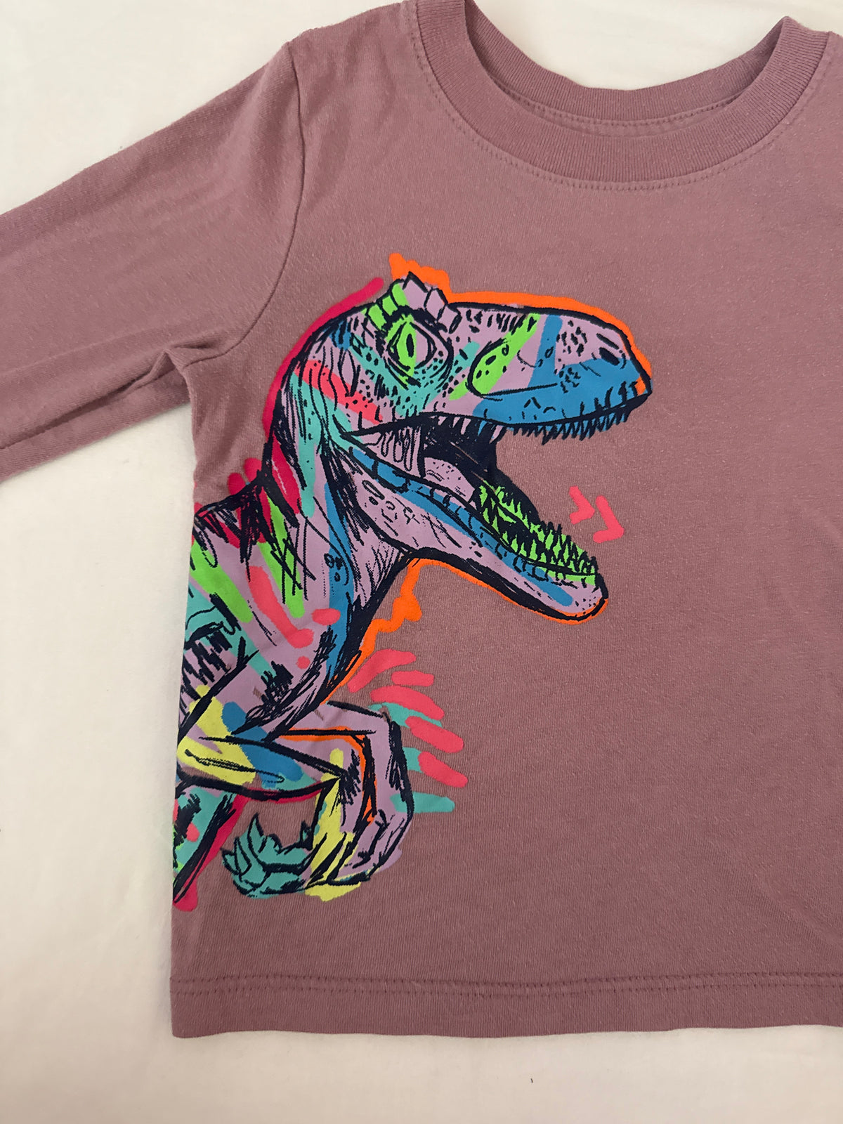Seller # 19 Cat & Jack Dinosaur Long Sleeve T-shirt Boys 12M
