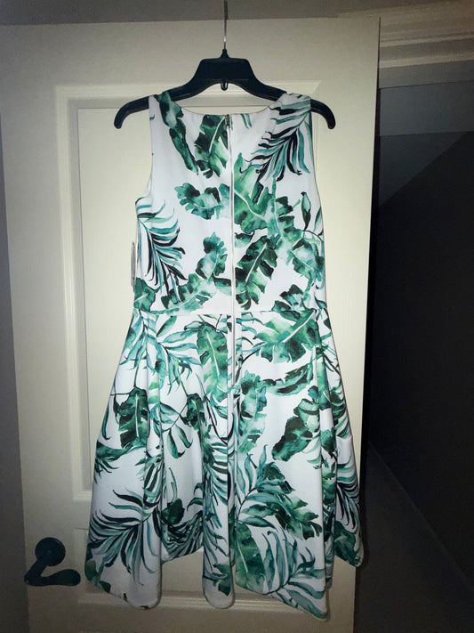 Seller #216, Women’s Taylor green and white dress, sz 12 NWT