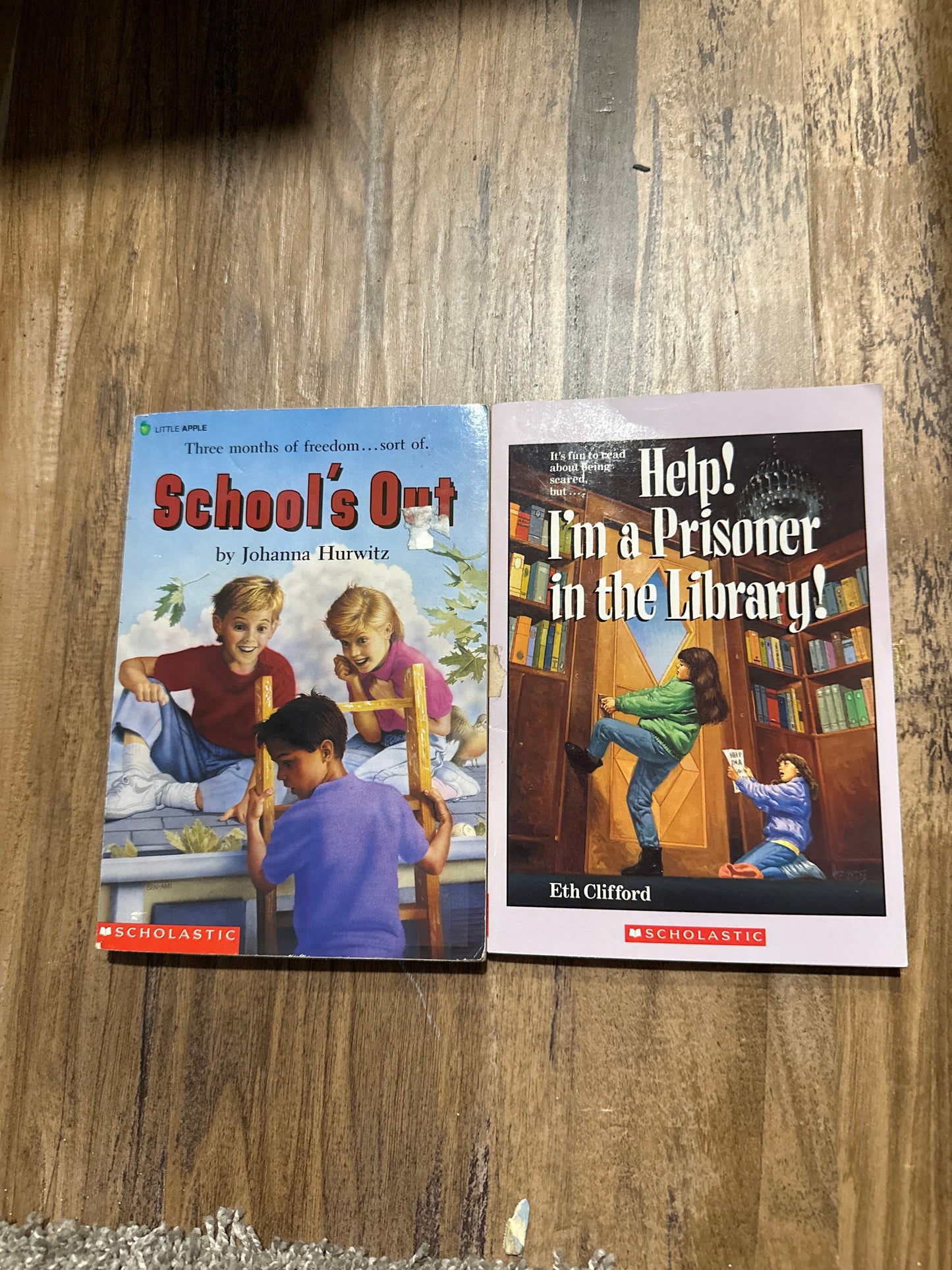 #133 Little Apple Book Bundle