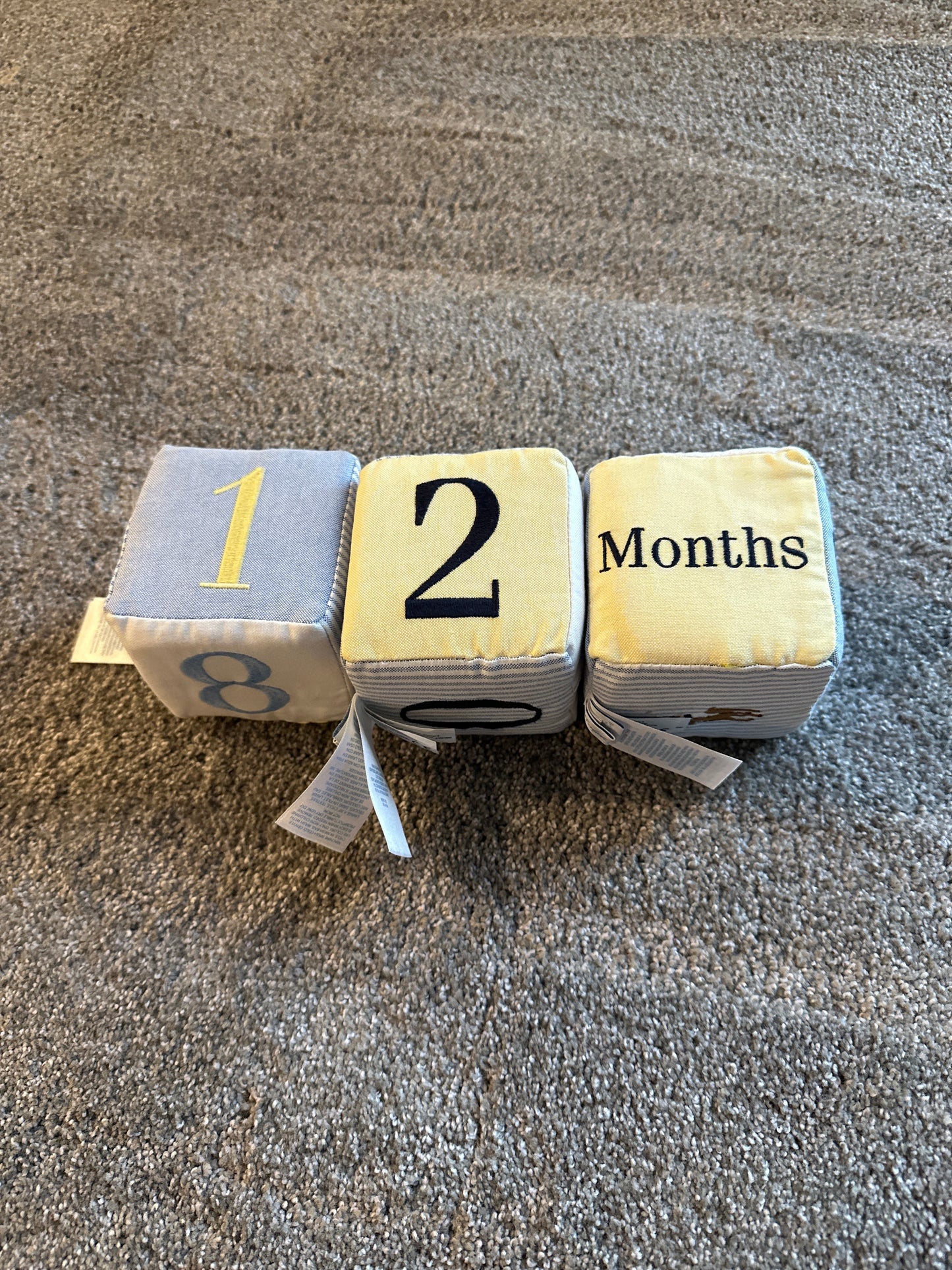 #133 Ralph Lauren Month Age Cubes