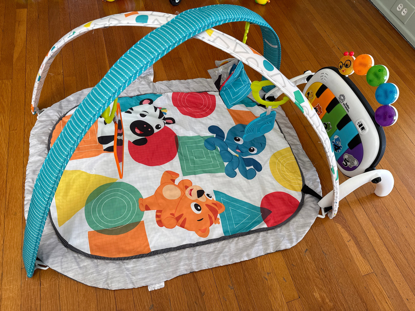 Seller #127 Baby Einstein play mat