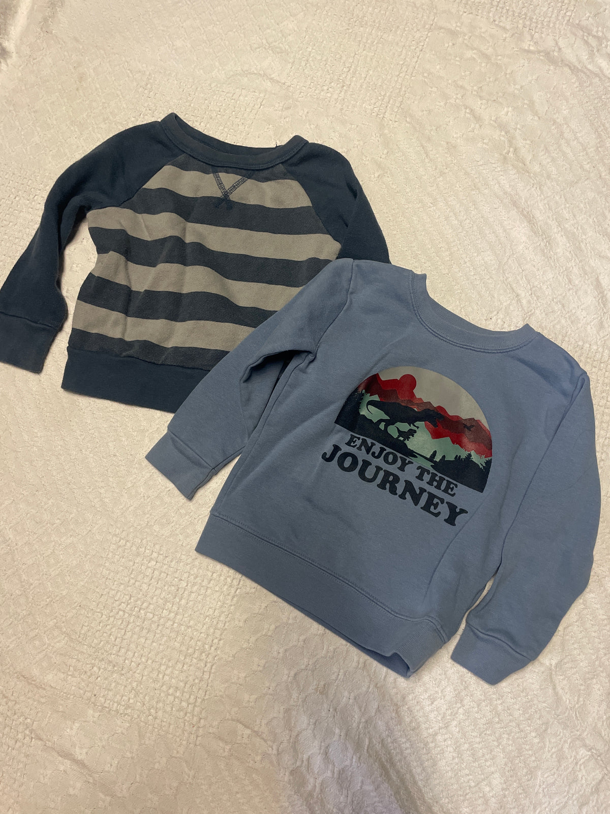 Seller #57 Boys 3t sweatshirts (2)