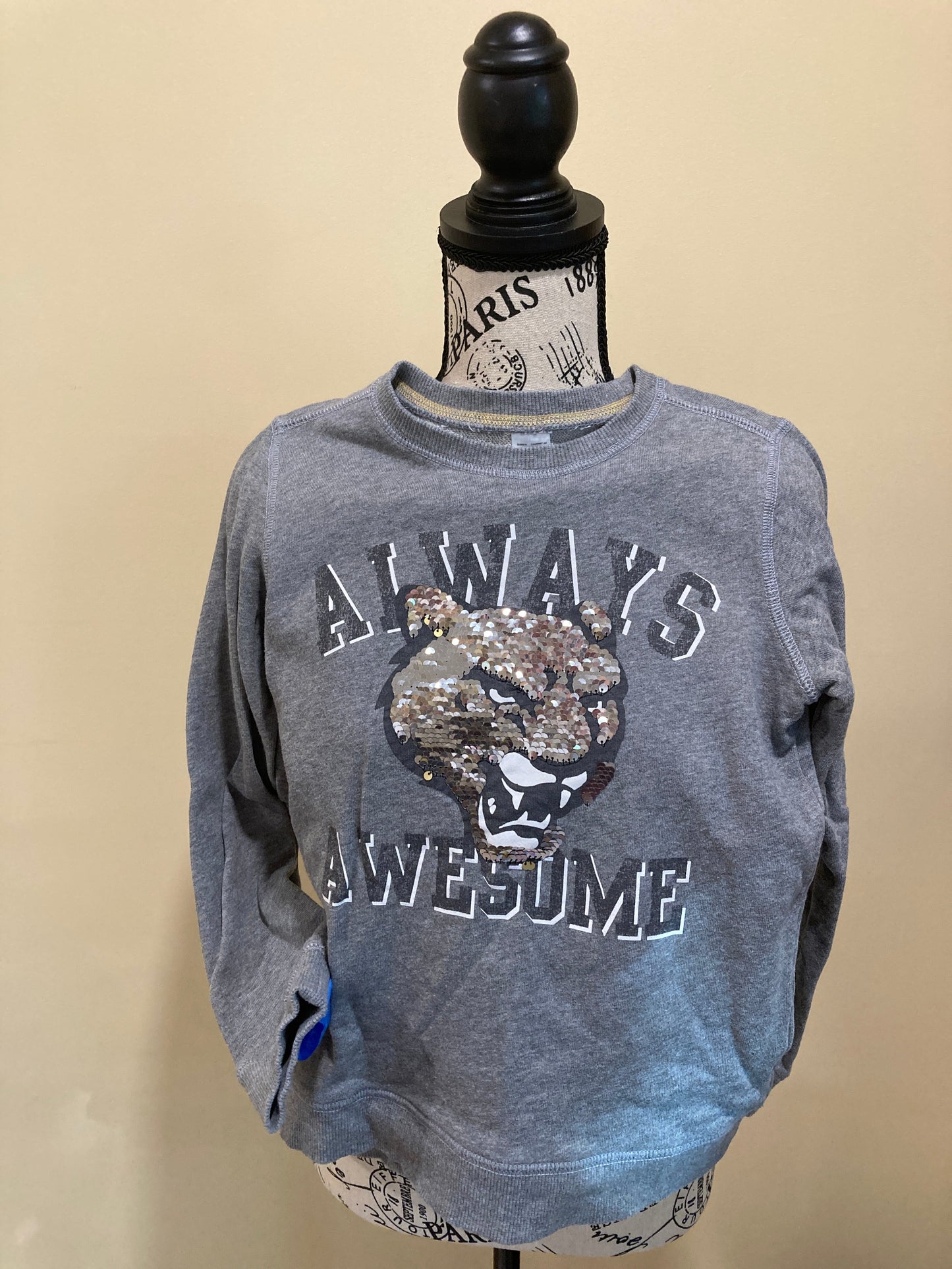 #119-REDUCED-Carter’s Reverse Sequined Sweatshirt Size 10