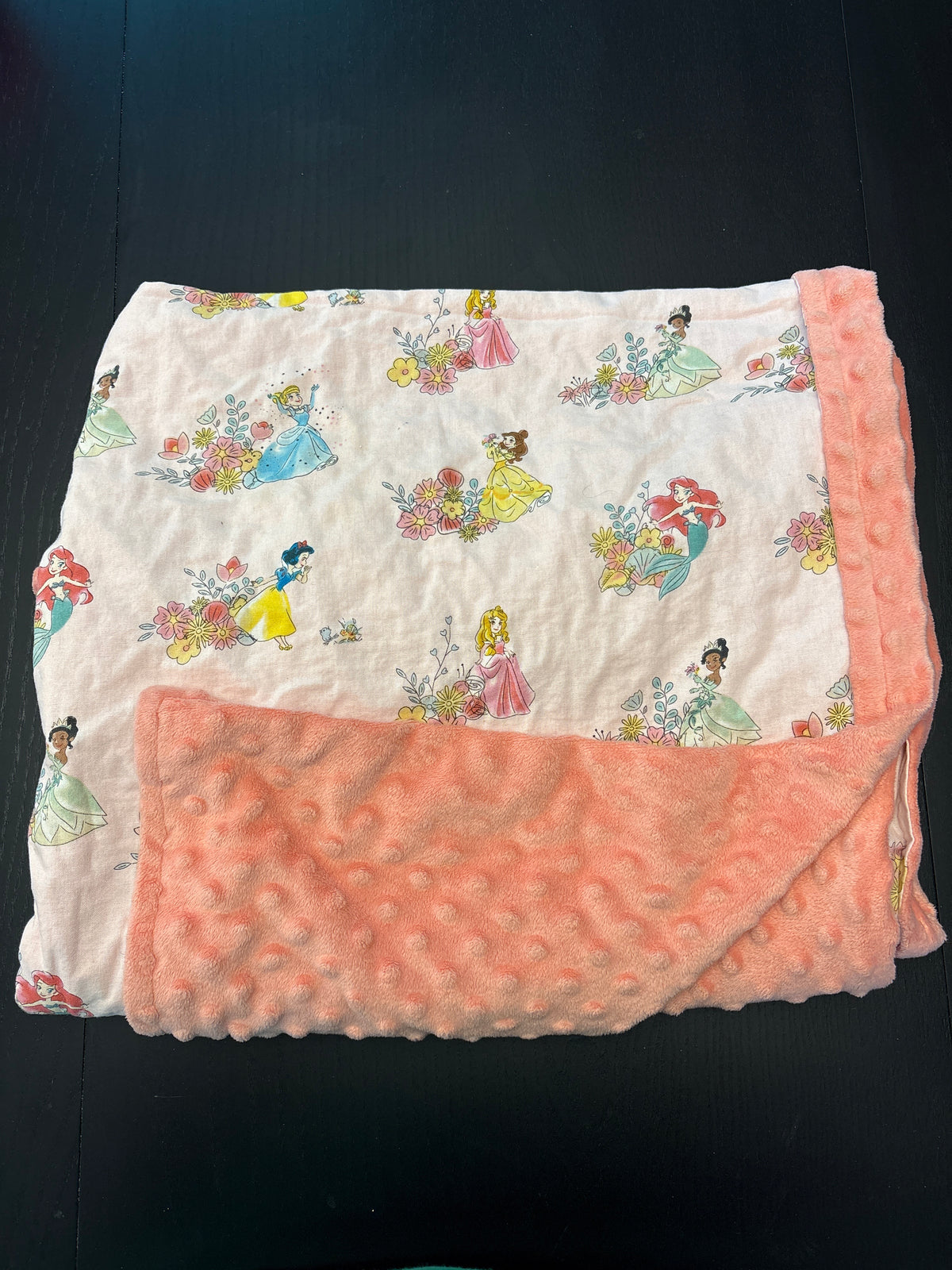 #166 small Disney princess blanket