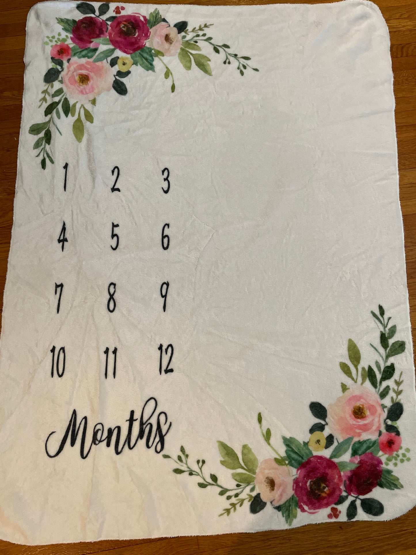 Seller #121 Baby month milestone blanket.  So Soft!