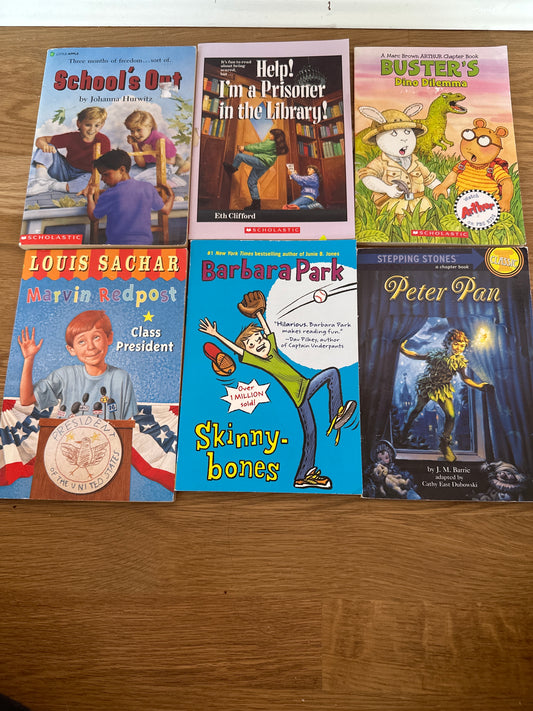 #130 Kids Random Book Bundle