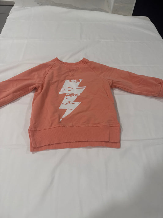 Seller #16 little bipsy sweatshirt size 2-3t