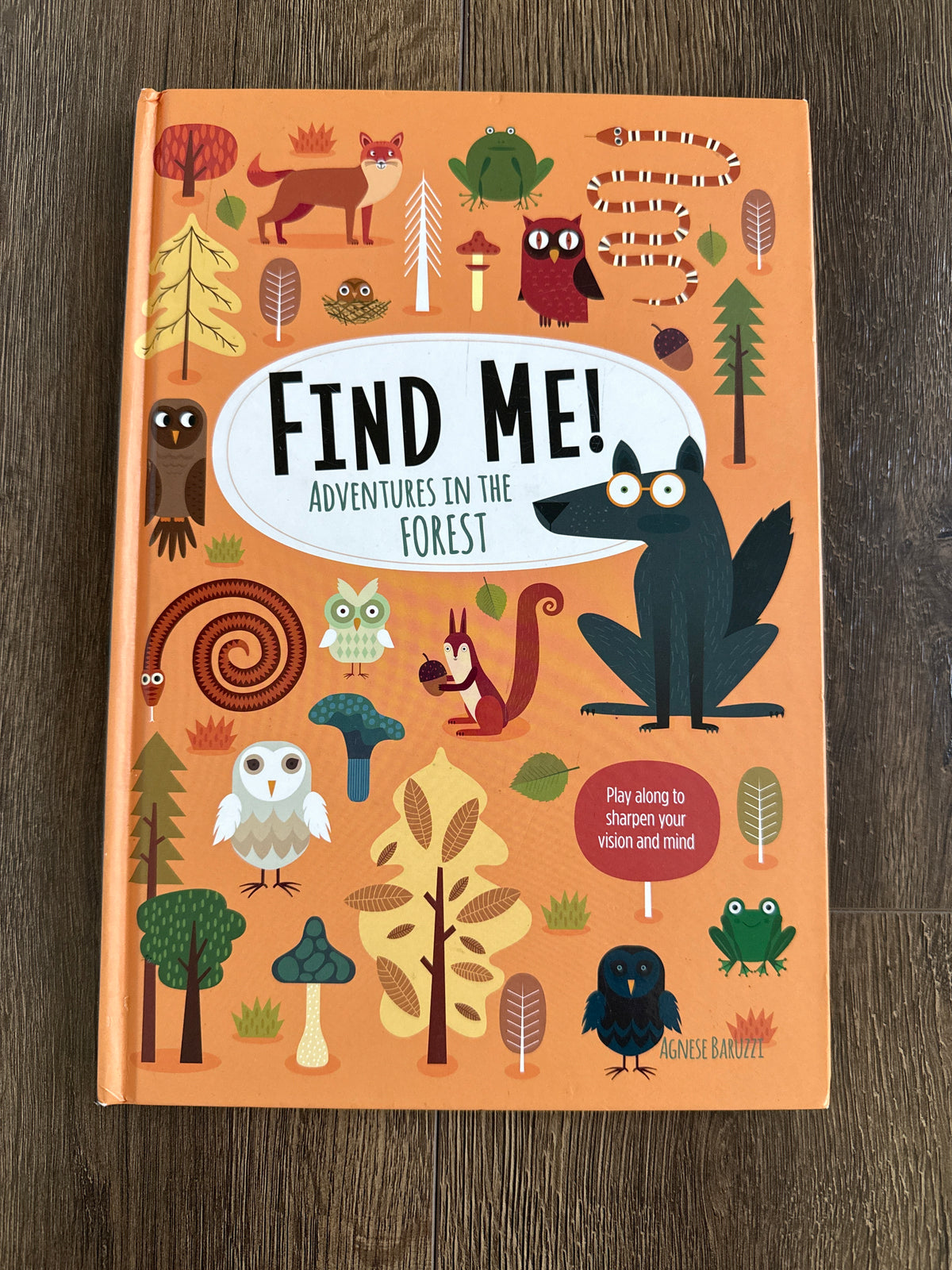 #173 kids hidden picture book