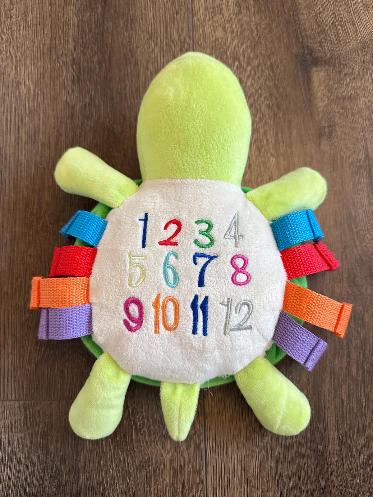 #173 Buckle Toy 'Belle Turtle'