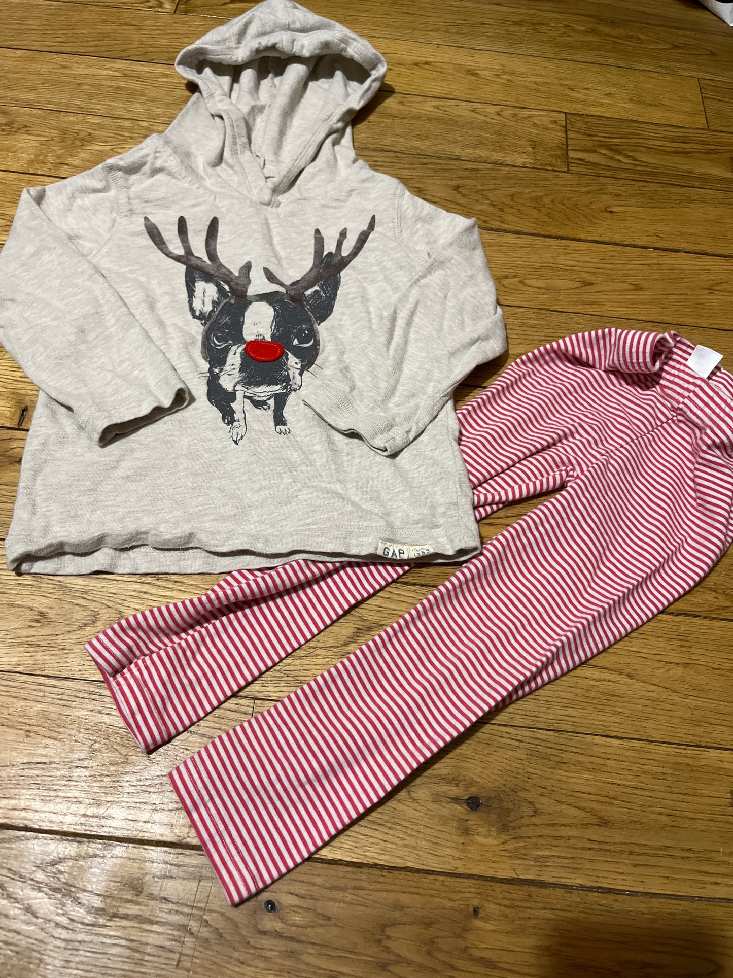 Seller 67 - reindeer dog outfit  -3