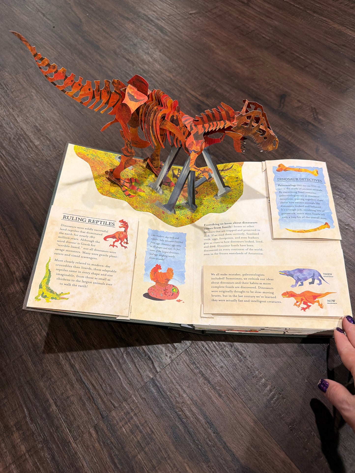 #107 never used Encyclopedia Prehistorica Dinosaurs book