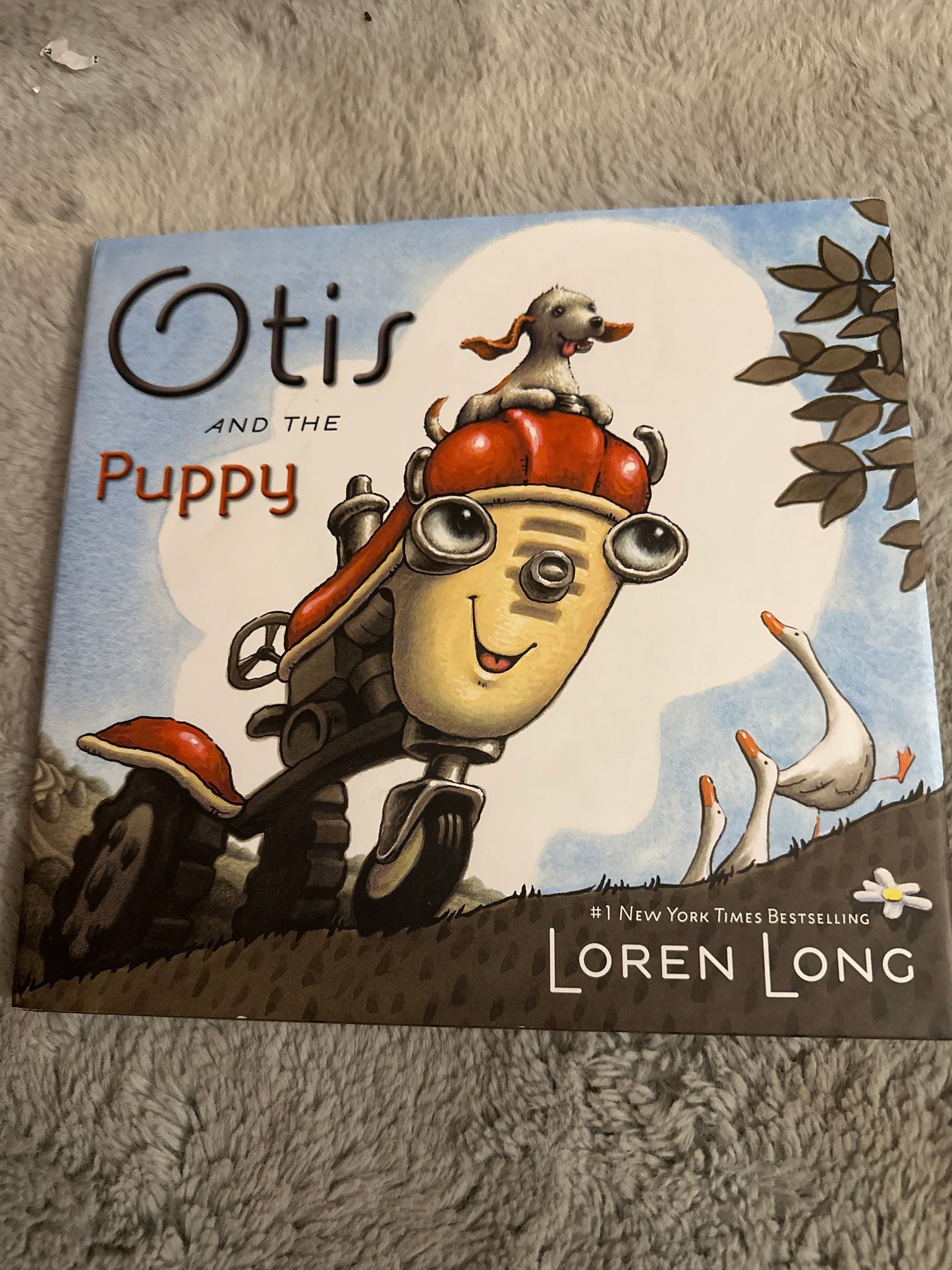 81A Otis and the Puppy by local author book Hardcover