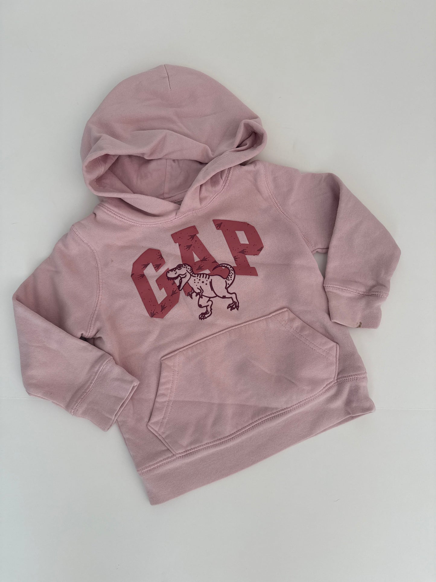 #96 Gap Pink Dinosaur Hoodie 4T
