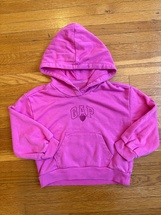 Seller #127 Girls Gap hoodie size 4T