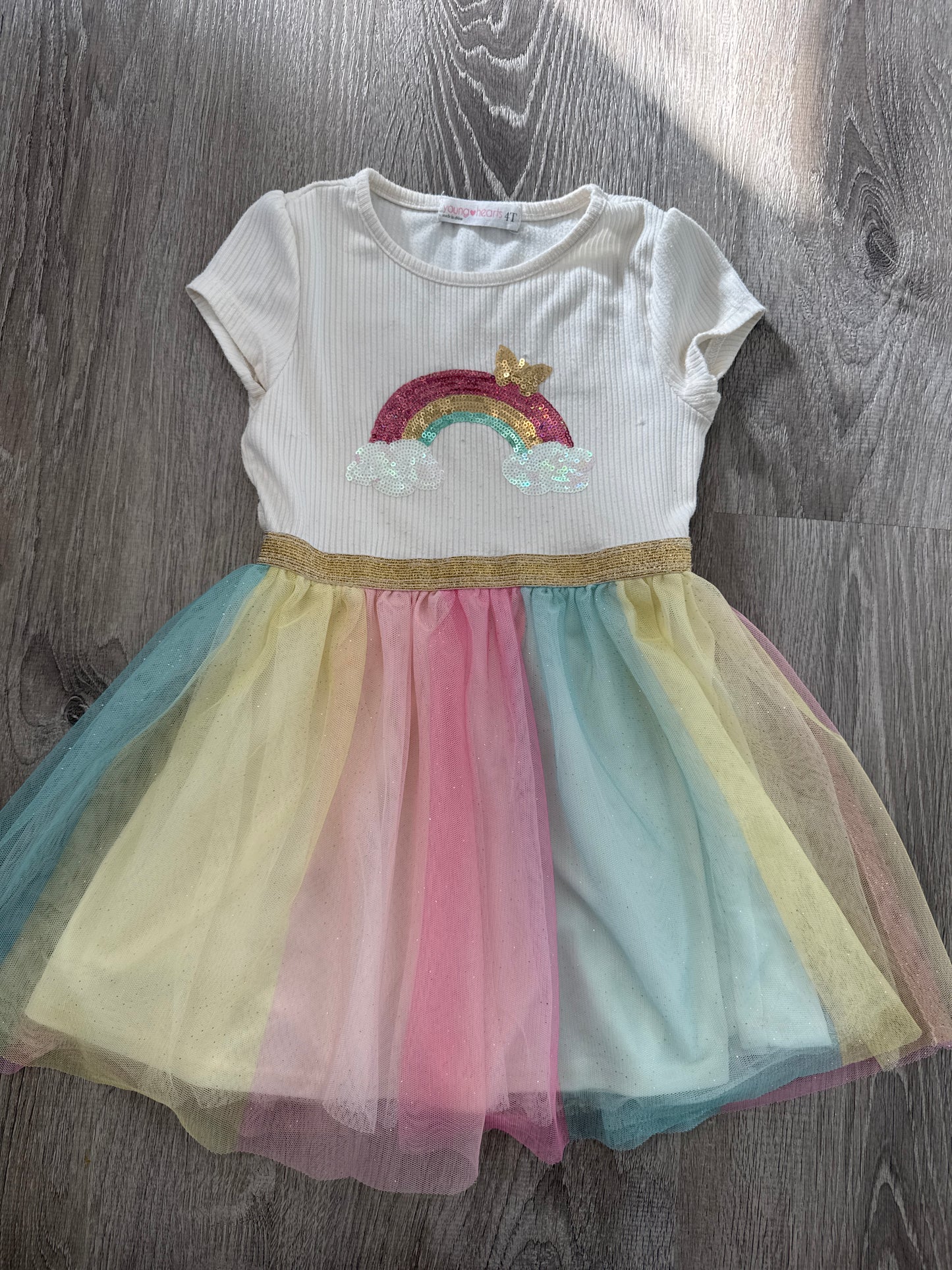 #149 Girls 4T rainbow tulle dress