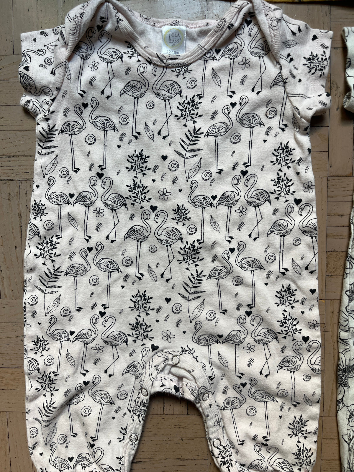 #195 Girls 12 month fall bundle, two bodysuits plus top