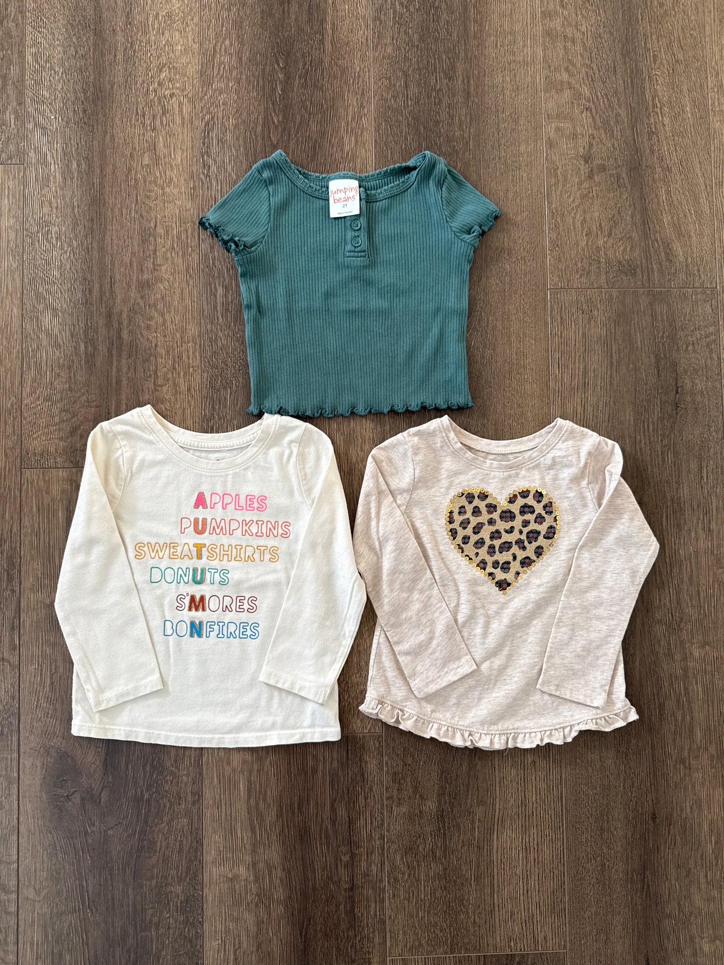 #173-REDUCED fall shirt bundle girl size 2T