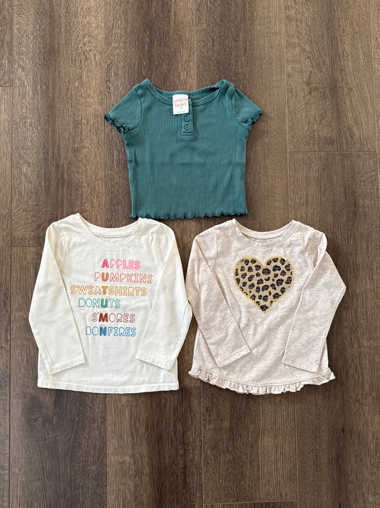 #173-REDUCED fall shirt bundle girl size 2T