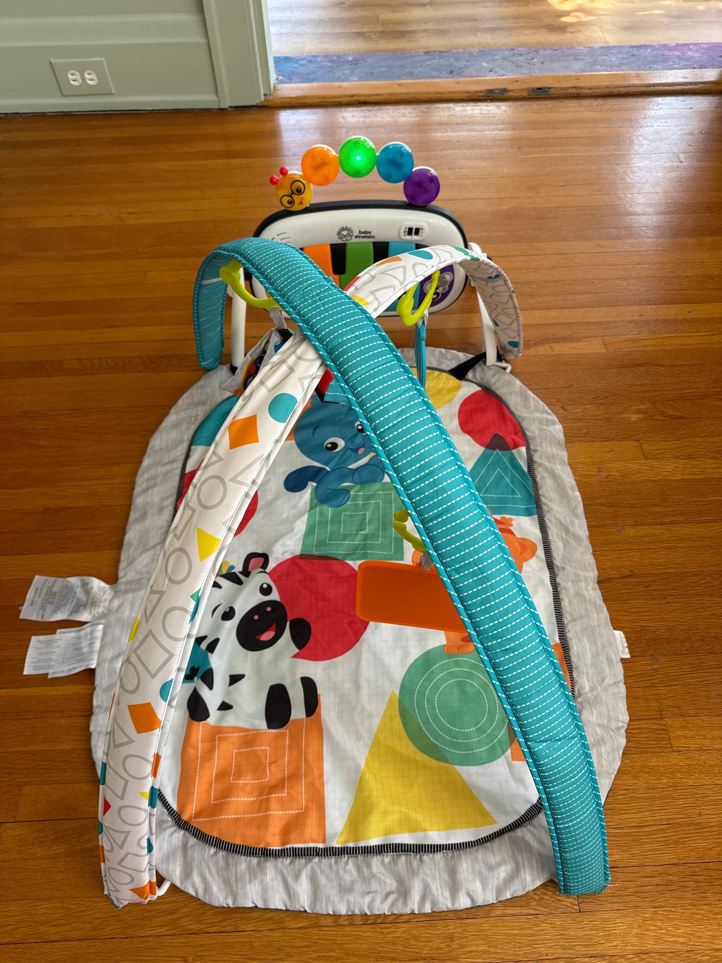 Seller #127 Baby Einstein play mat