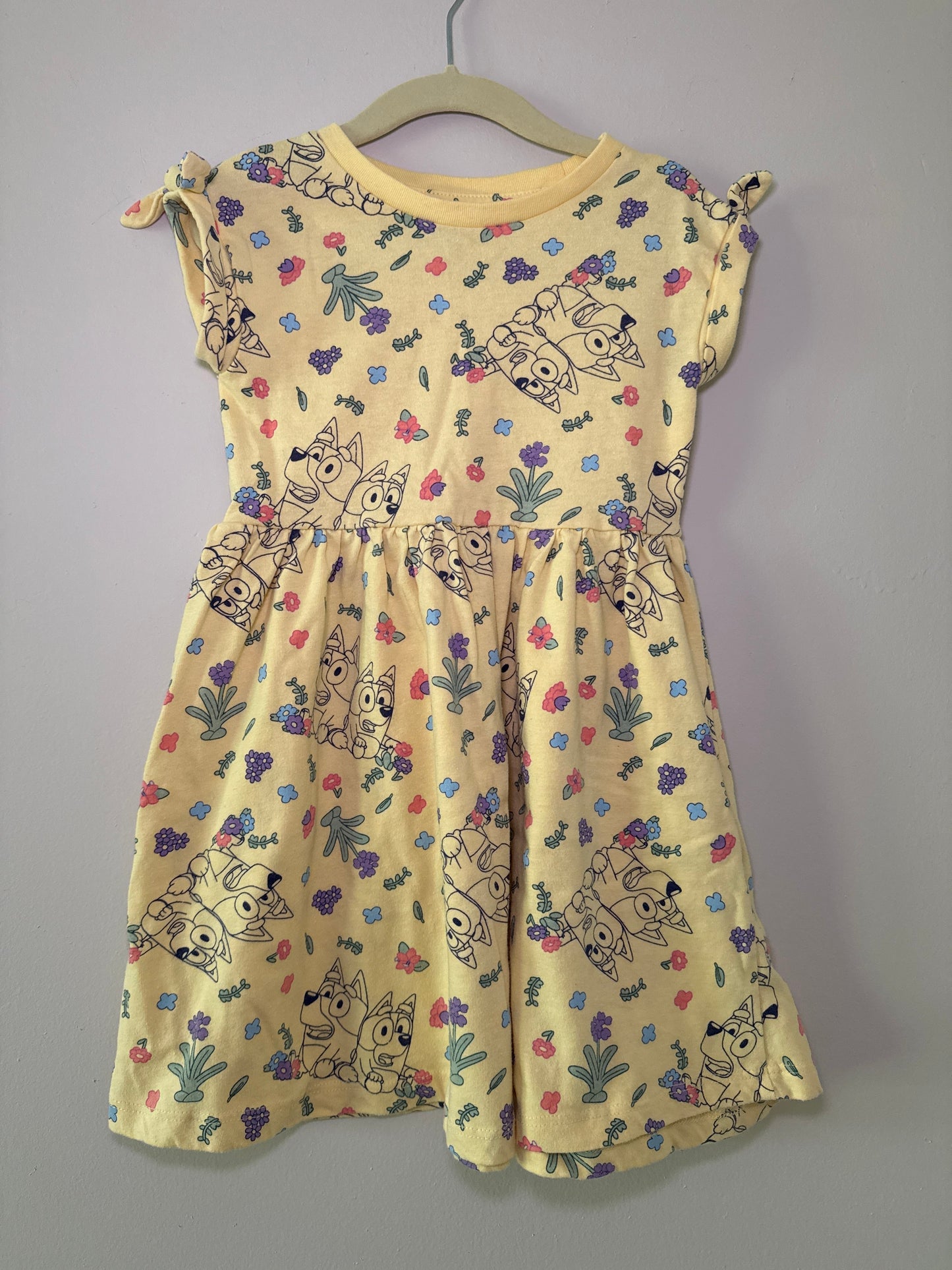 Seller #127 Girls Bluey dress 4T