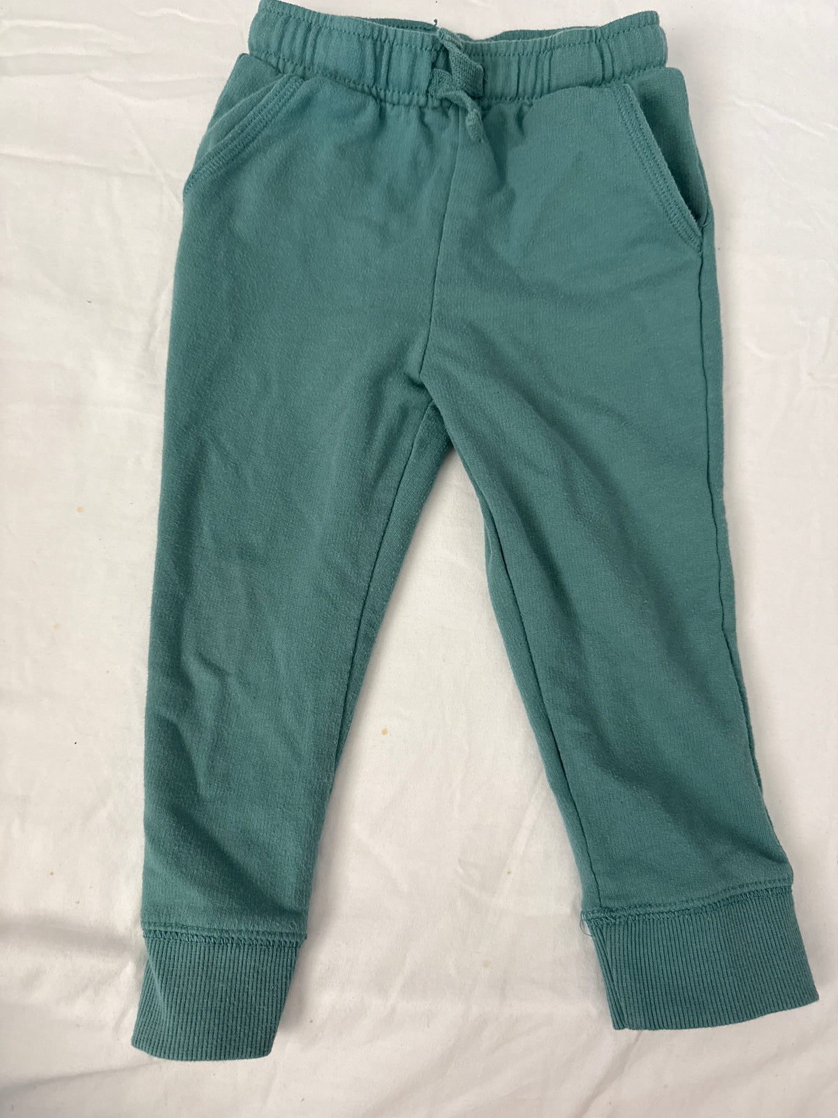 Seller #19 Green and Dinosaur Joggers Boys 2T