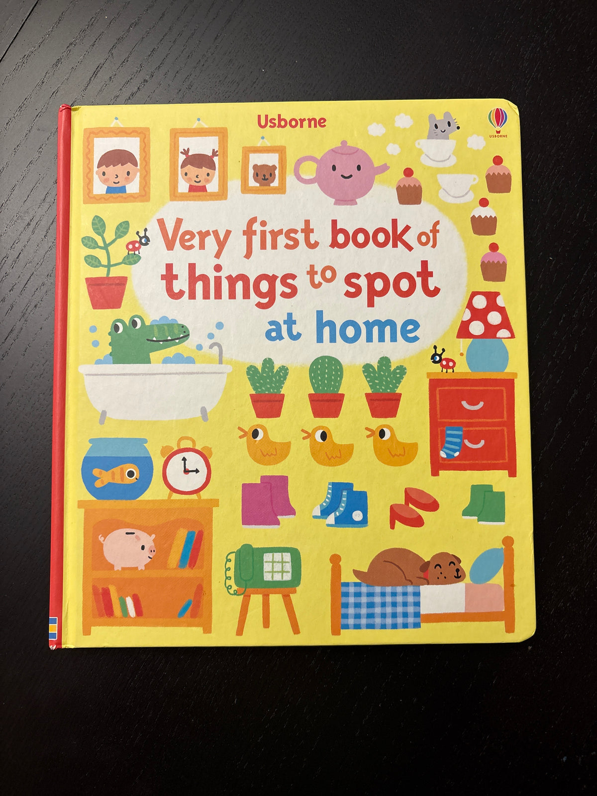 #166 Usborne Very First Book of Things to Spot at Home