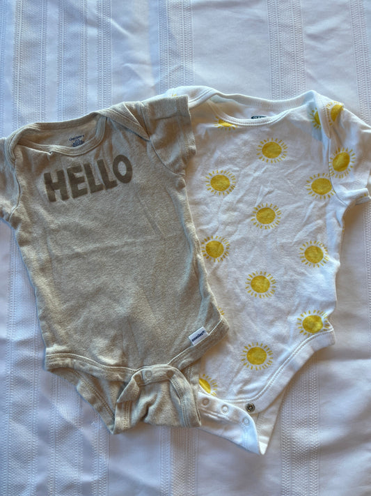#29  6-9 mo. Girls short sleeve onesies set of 2 EUC