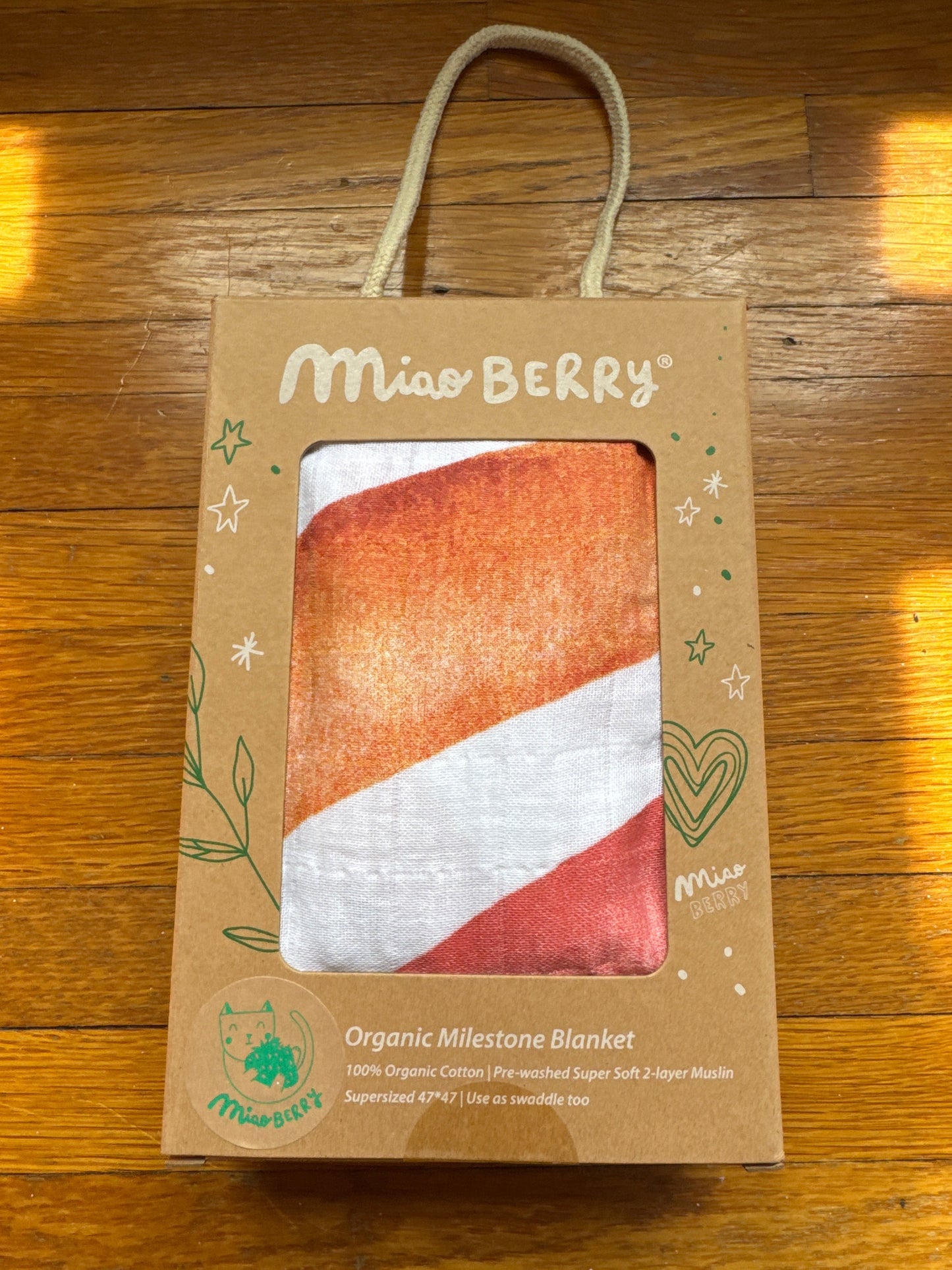Seller #127 Milestone baby blanket