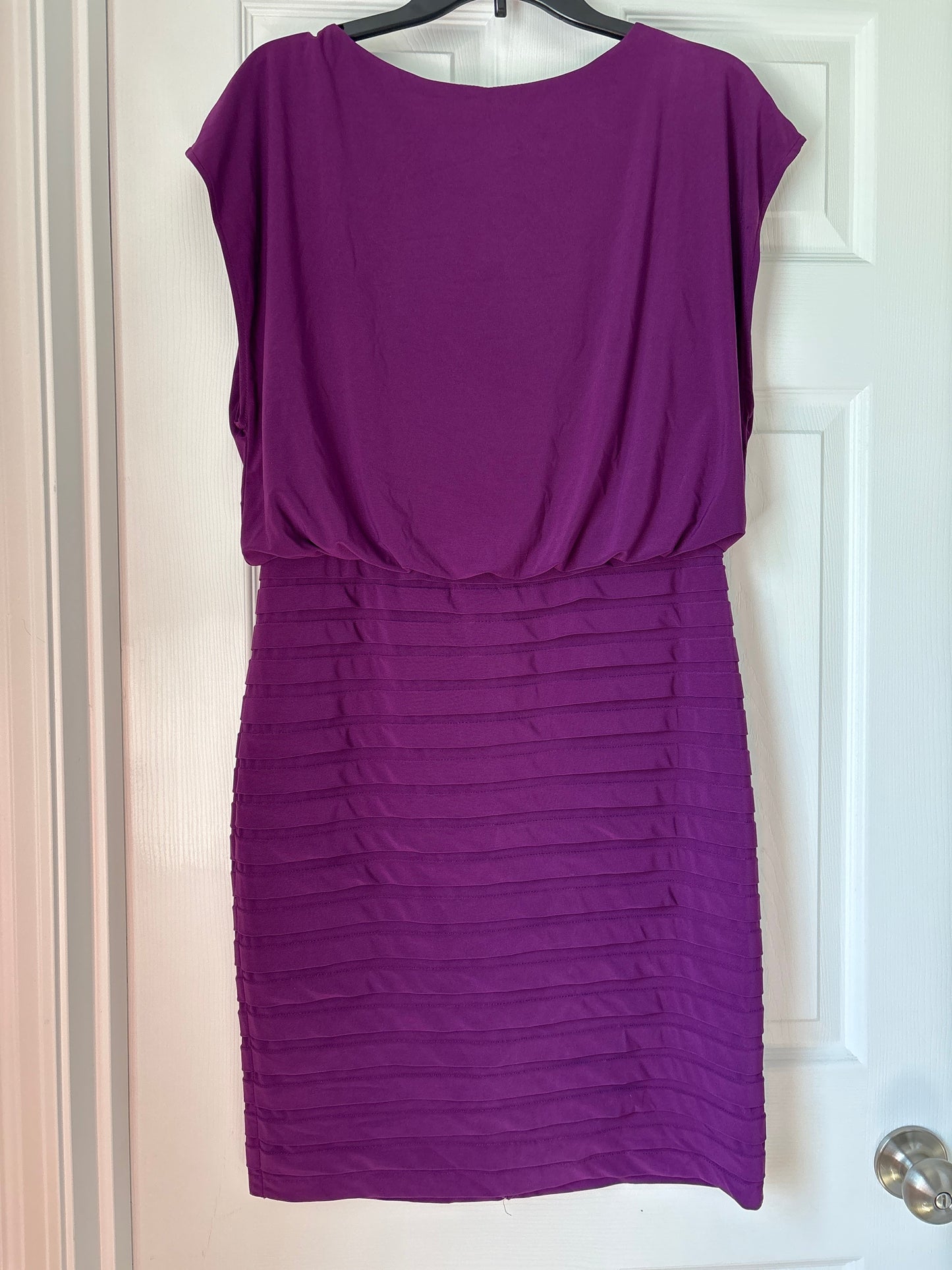 Seller #62 Women's Adrianna Papell plum dress sz 10 EUC