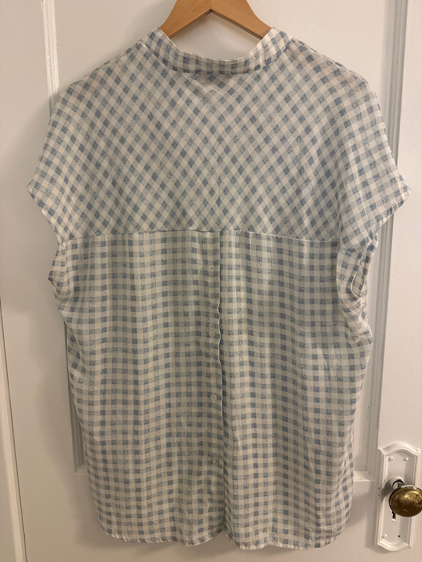 #152 - PRICE REDUCED Anthropologie - W5 Gingham Shirt Sleeveless Blue/ White XL
