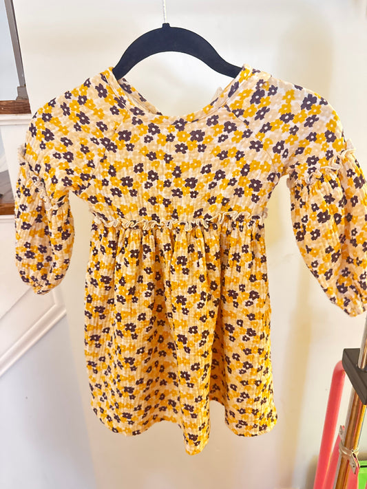 REDUCED Seller 161, Girls 4T Alice & Ames Juliette dress EUC
