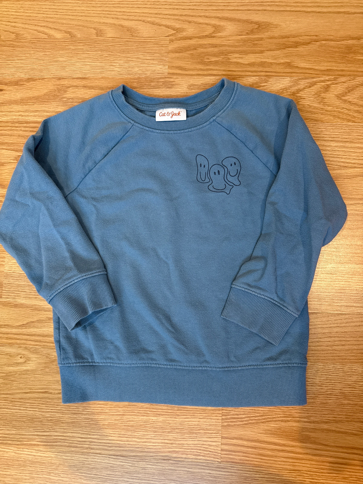 #87 cat & jack boys 3t blue crew neck sweatshirt VGUC