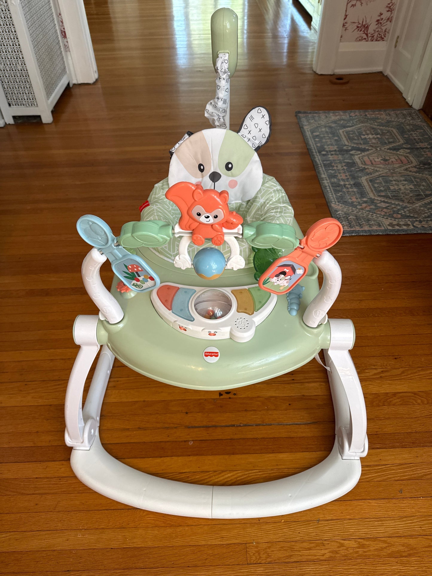 Seller #127 Fisher-Price SpaceSaver Jumperoo