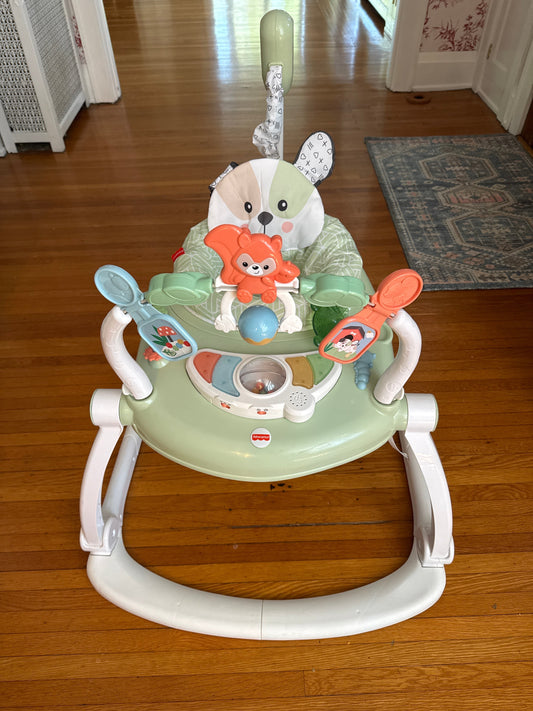 Seller #127 Fisher-Price SpaceSaver Jumperoo