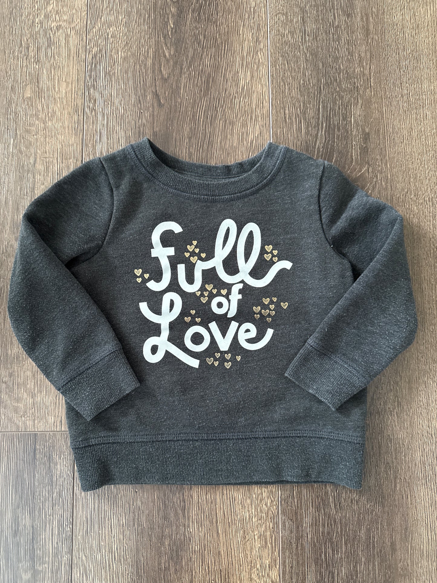 #173-Cat & Jack sweatshirt girl size 2T