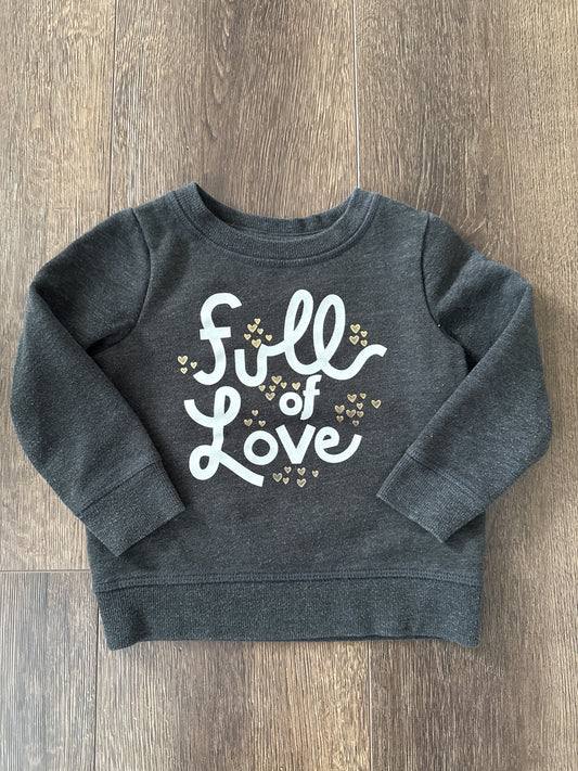 #173-Cat & Jack sweatshirt girl size 2T